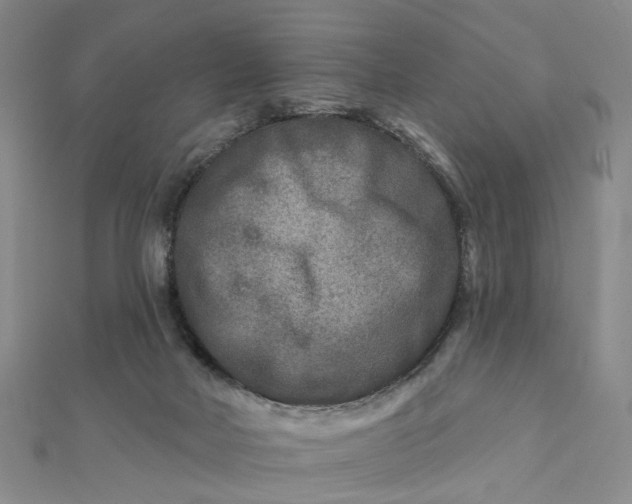 X0000111790026200908061146