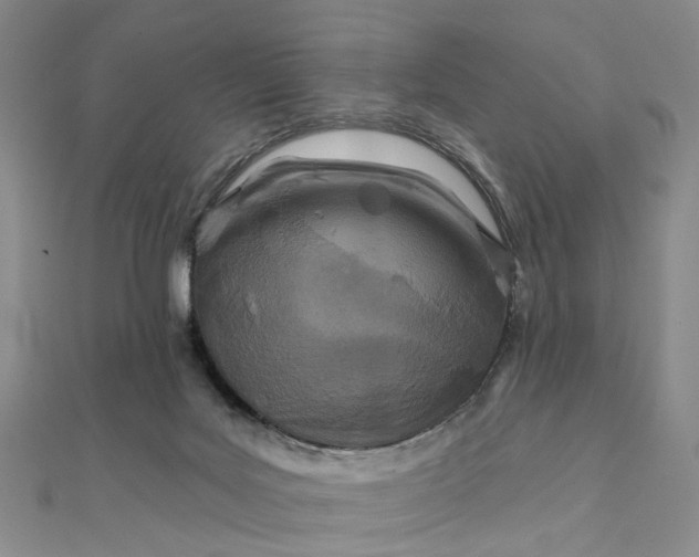 X0000111790027200908061146