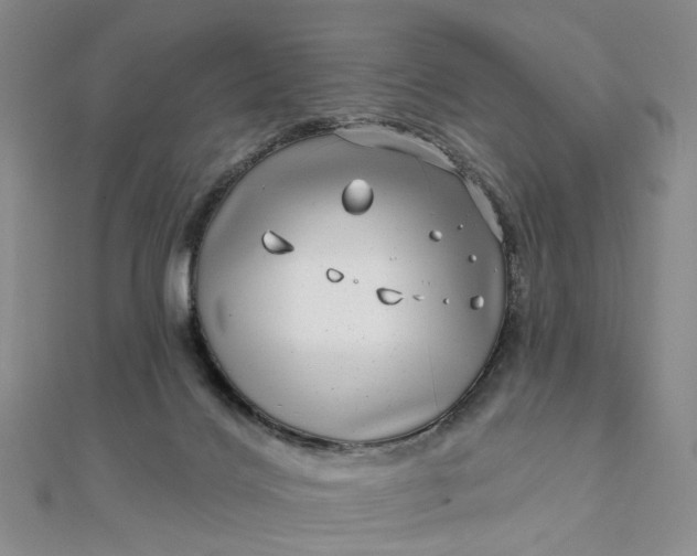 X0000111790028200908061146