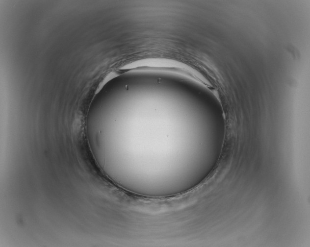 X0000111790029200908061146