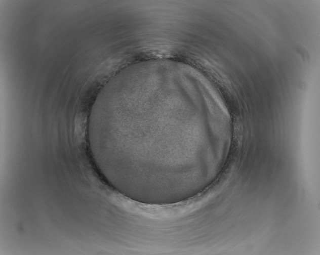 X0000111790030200908061146