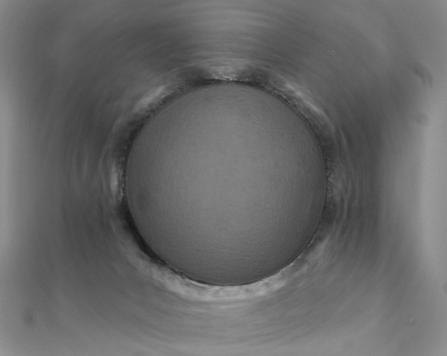 X0000111790031200908061146