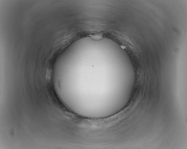 X0000111790033200908061146