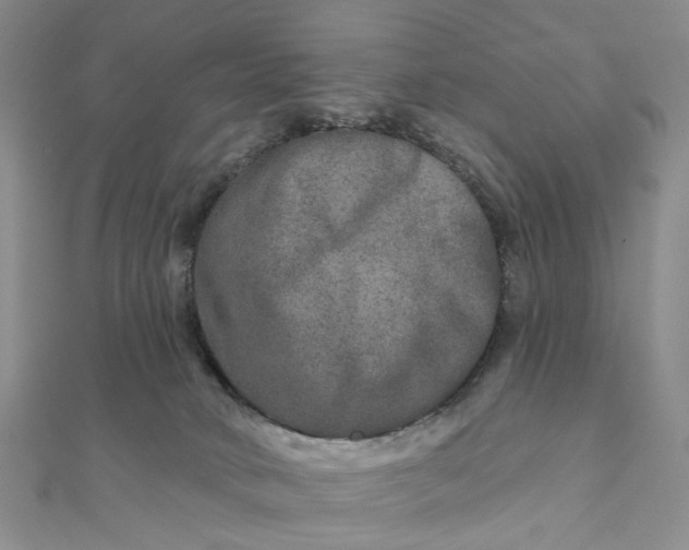 X0000111790034200908061146