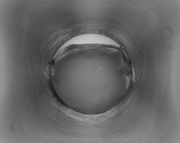 X0000111790035200908061146