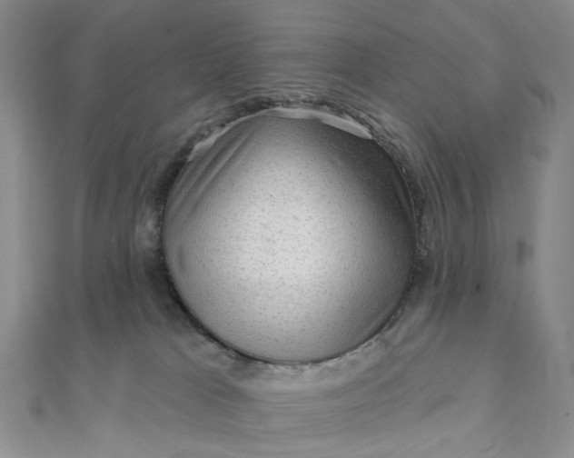 X0000111790037200908061146