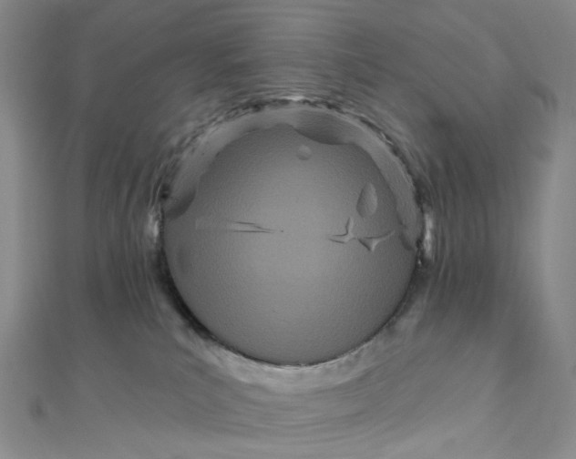 X0000111790039200908061146