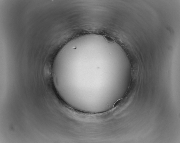 X0000111790040200908061146