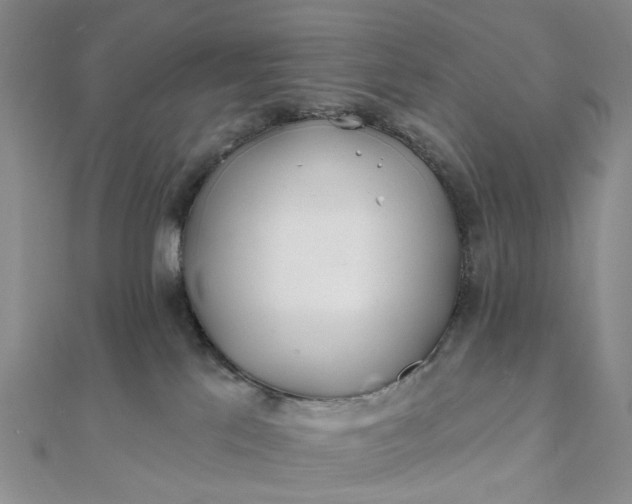 X0000111790041200908061146