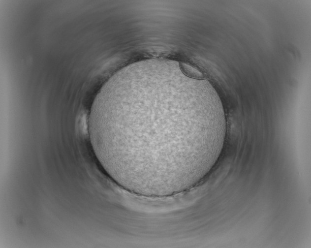 X0000111790042200908061146