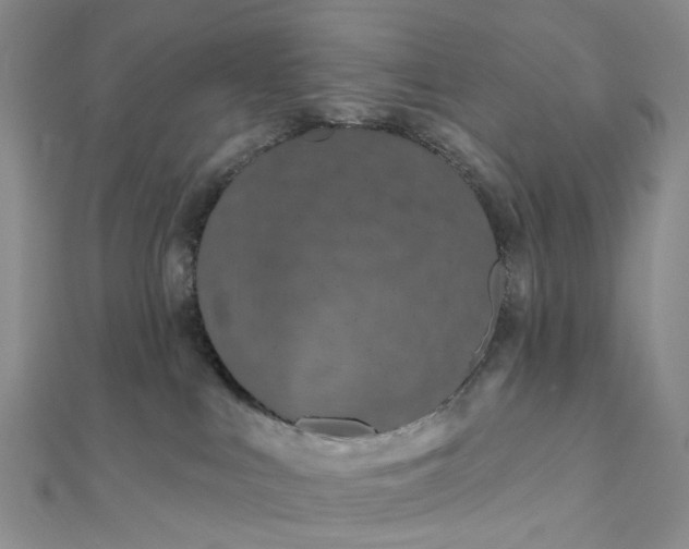 X0000111790043200908061146