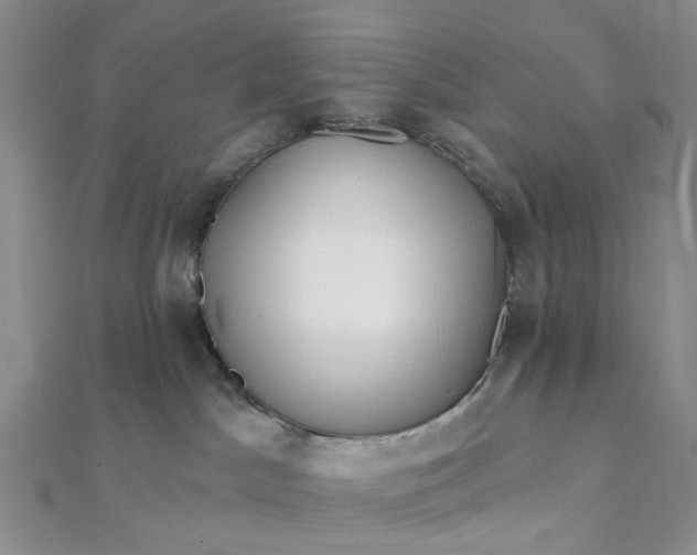 X0000111790045200908061146