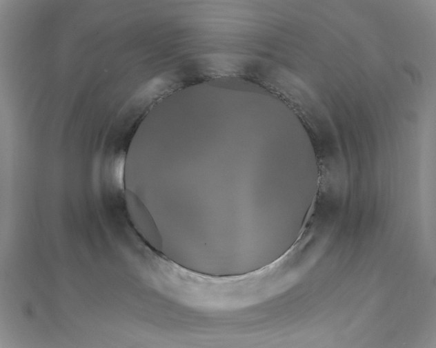 X0000111790047200908061146