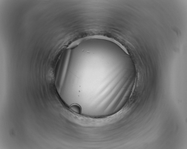 X0000111790048200908061146