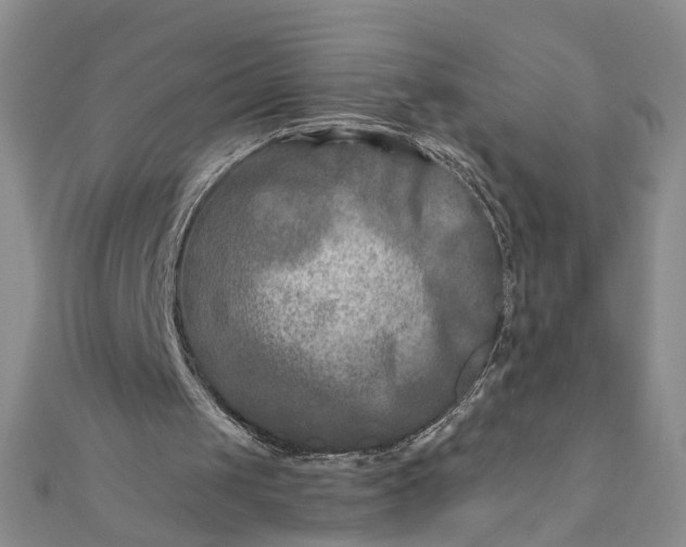 X0000111790049200908061145