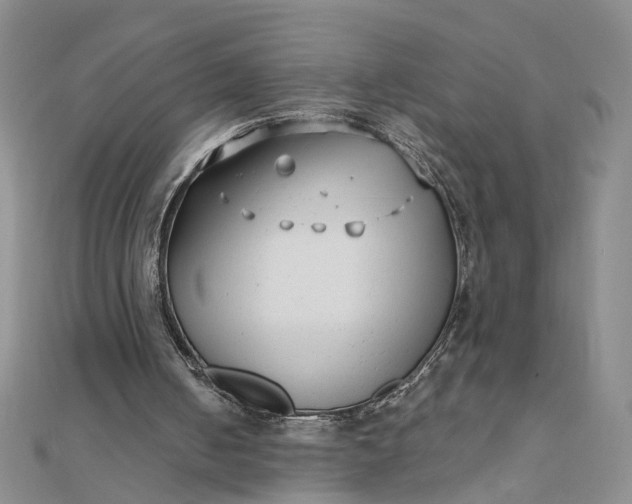 X0000111790050200908061145