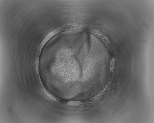 X0000111790051200908061145