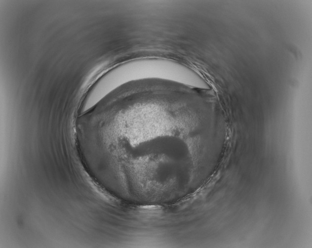 X0000111790053200908061145