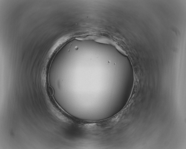 X0000111790054200908061145