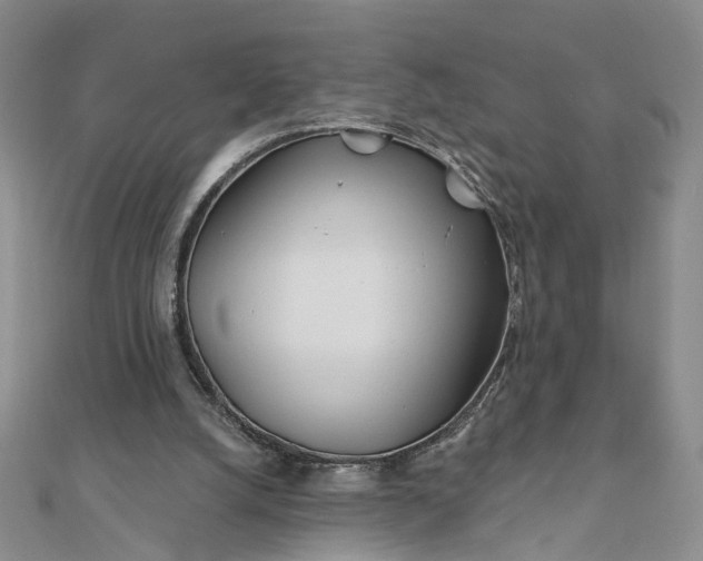 X0000111790056200908061145