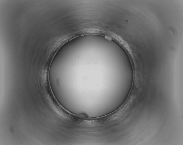 X0000111790057200908061145