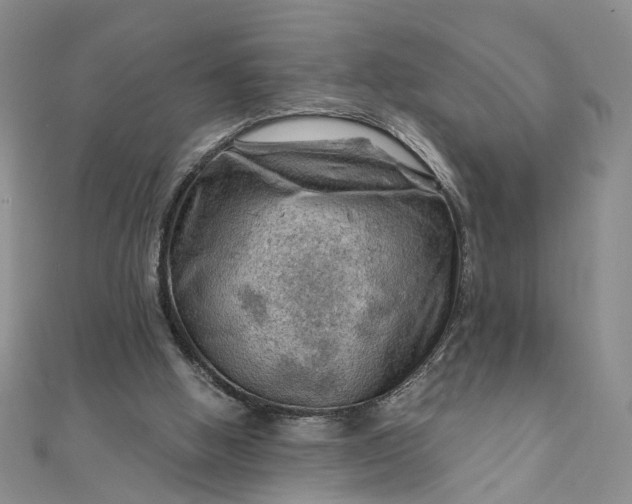 X0000111790058200908061145