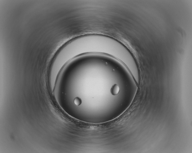 X0000111790060200908061145