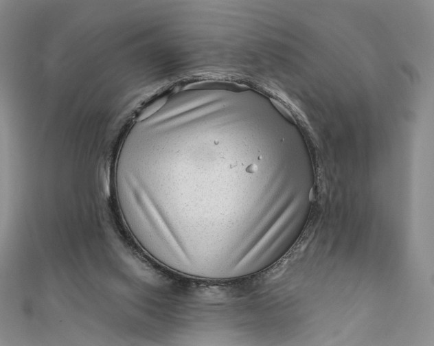 X0000111790062200908061145