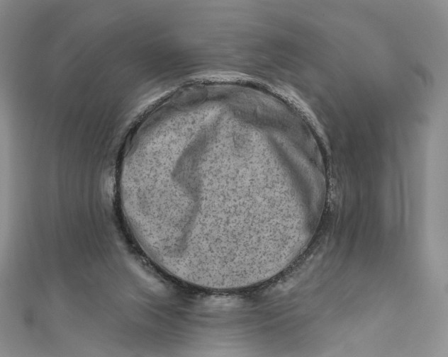 X0000111790063200908061145