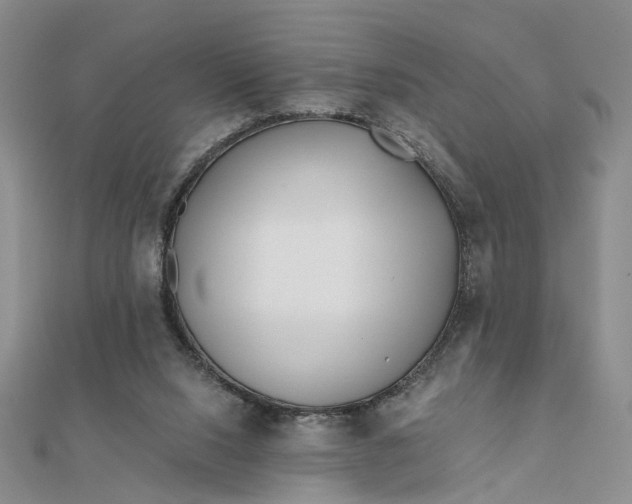 X0000111790064200908061145