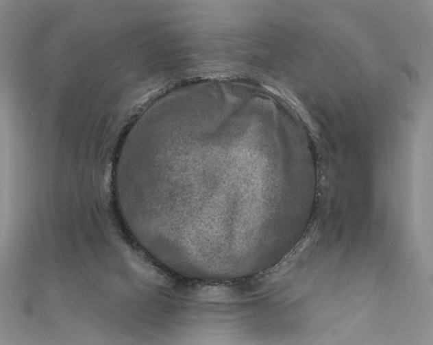 X0000111790066200908061145