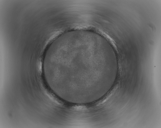 X0000111790067200908061145