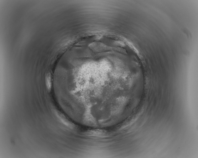 X0000111790069200908061145