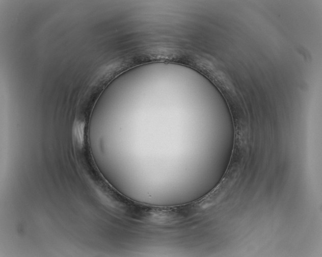 X0000111790070200908061145