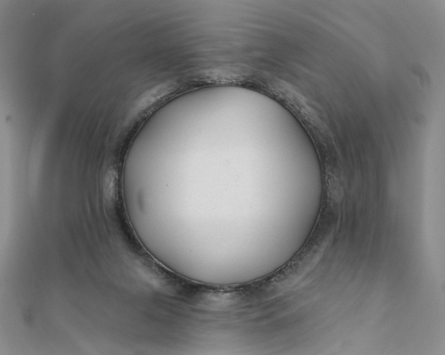 X0000111790071200908061145