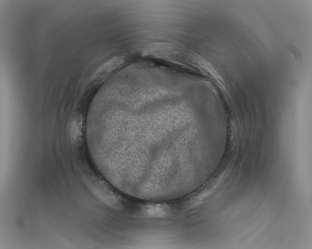 X0000111790073200908061145