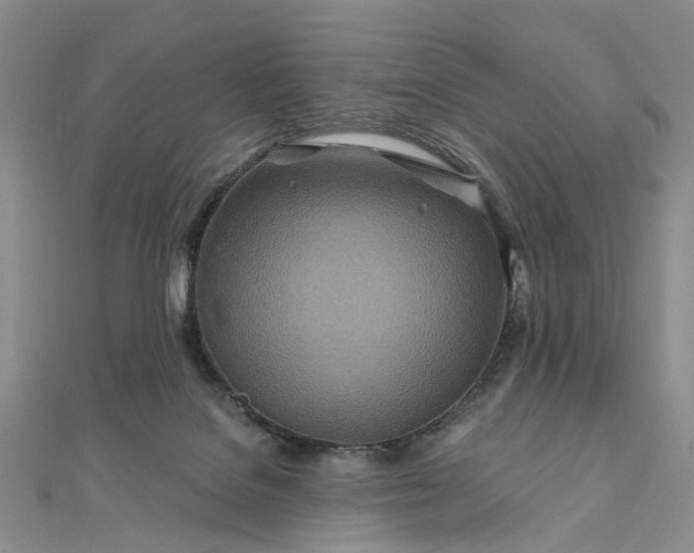 X0000111790076200908061145