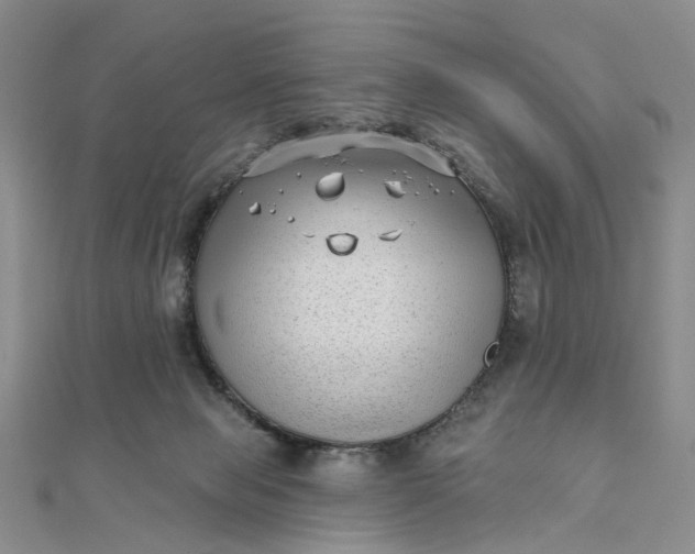 X0000111790077200908061145