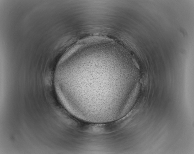 X0000111790078200908061146