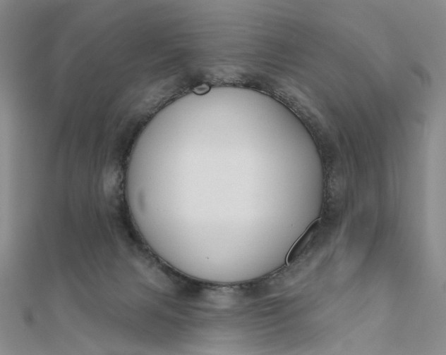 X0000111790079200908061146