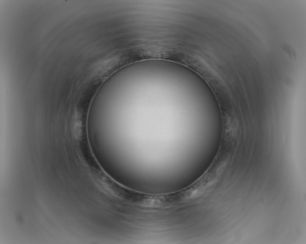 X0000111790080200908061146