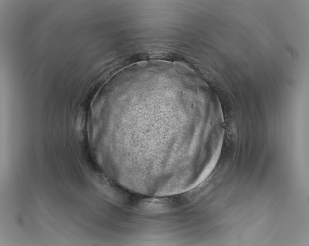 X0000111790082200908061146