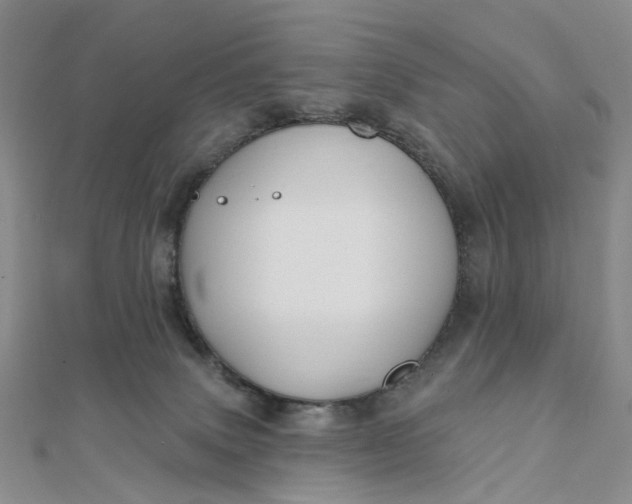 X0000111790083200908061146