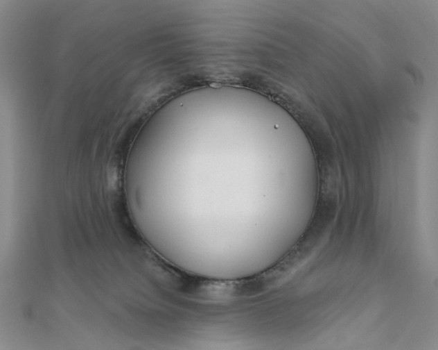 X0000111790084200908061146