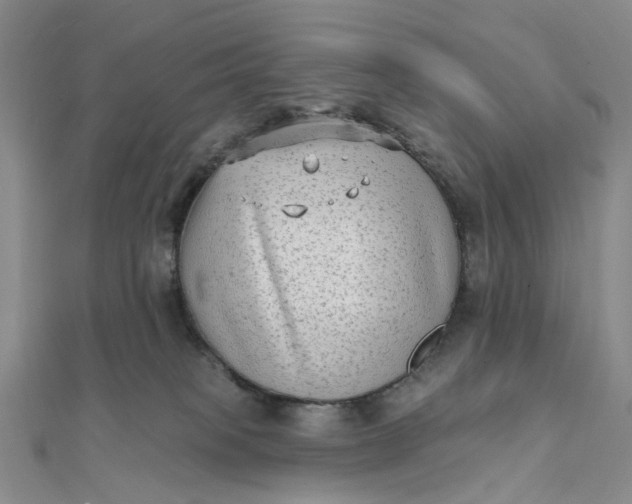 X0000111790085200908061146