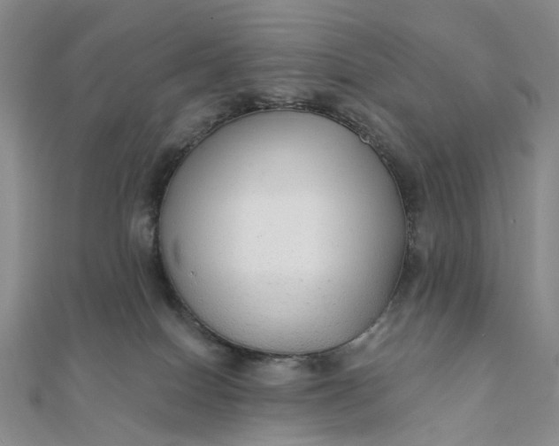 X0000111790086200908061146