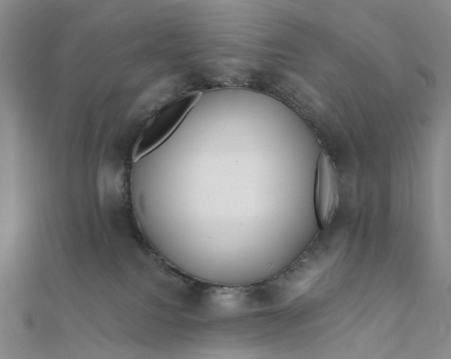 X0000111790088200908061146