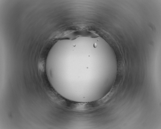 X0000111790090200908061146