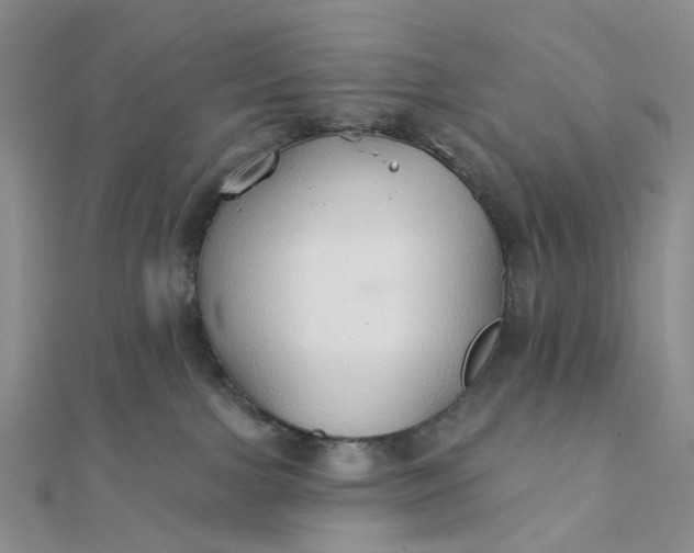 X0000111790091200908061146