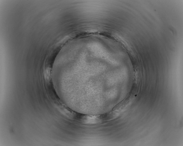 X0000111790093200908061146